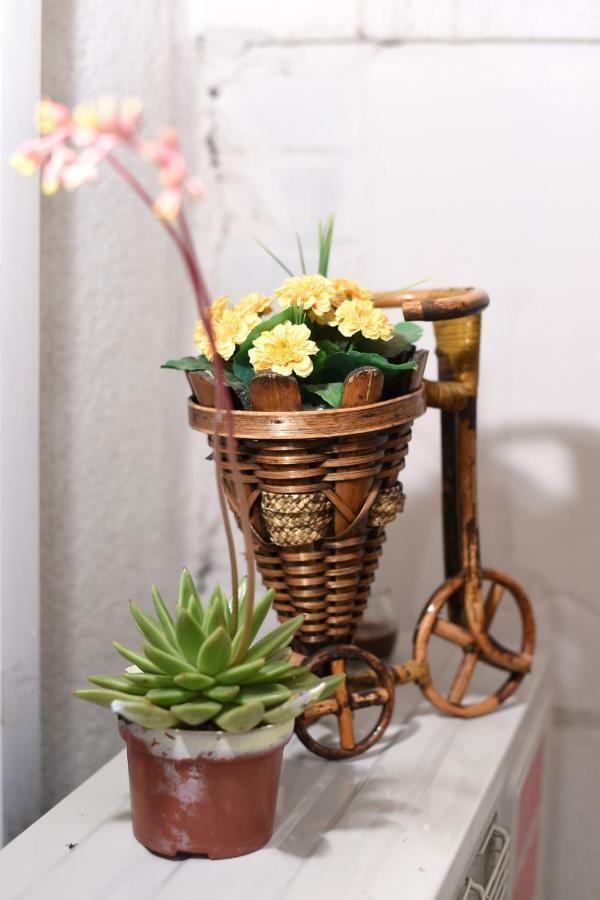 Karla Appartement *